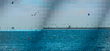 Istock 2154743463 (1)