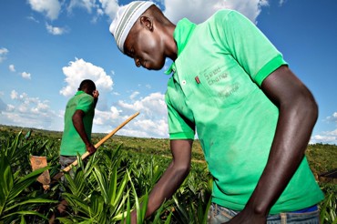 Agriculture