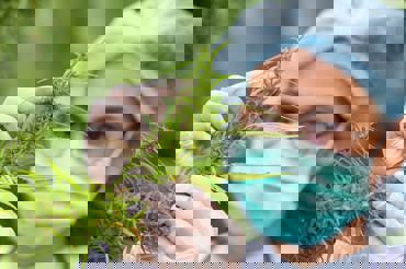 Medical Cannabis Istock 1175648790 Min